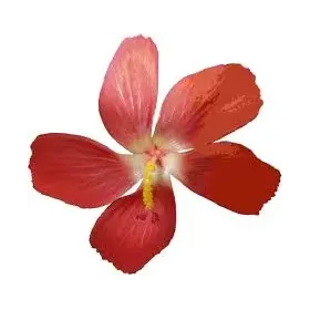 Ventil zpětný  3/8 BV-12 acetylén TEST