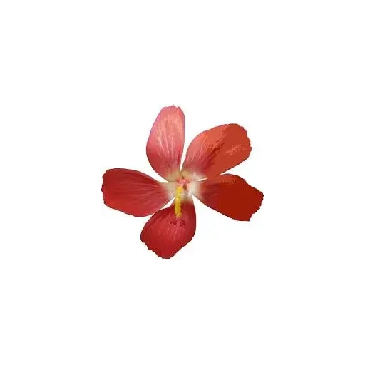 Ventil zpětný  3/8 BV-12 acetylén TEST